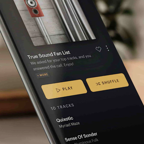 Bowers & Wilkins Zeppelin USP3