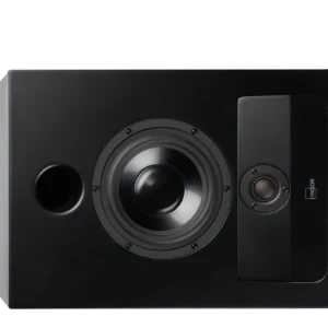 Lyngdorf Audio CS-2 In-Cabinet Speaker (Pc)