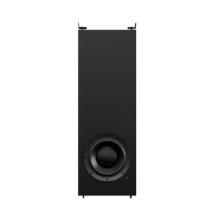 Lyndorf DW-1 wall woofer image