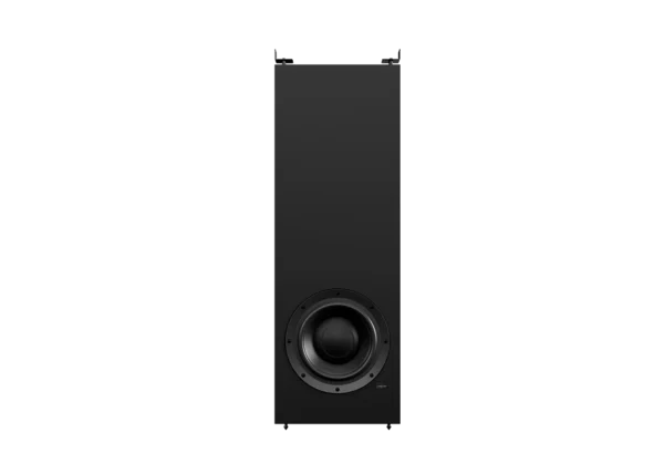 Lyngdorf DW-1 Passive in-wall woofer