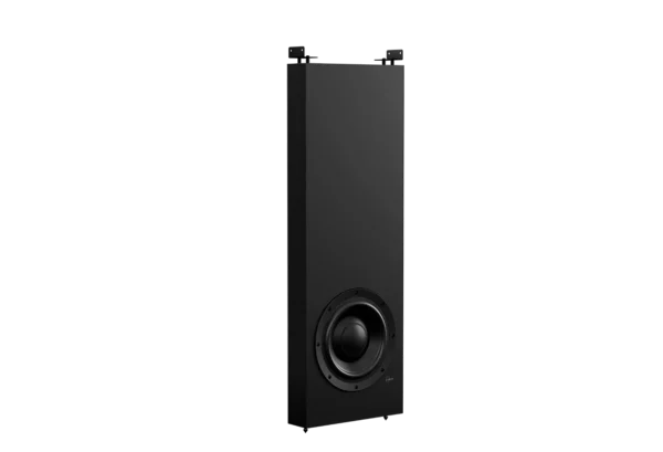 Lyngdorf DW-1 Passive in-wall woofer
