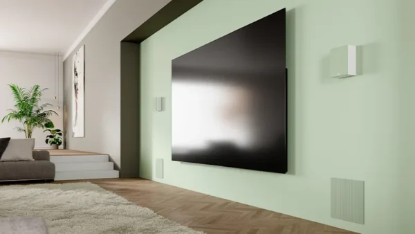 Lyngdorf DW-1 Passive in-wall woofer