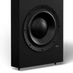 Lyngdorf DW-1 Passive in-wall woofer