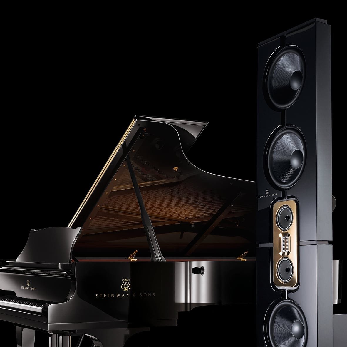 Steinway Lyngdorf Model D image