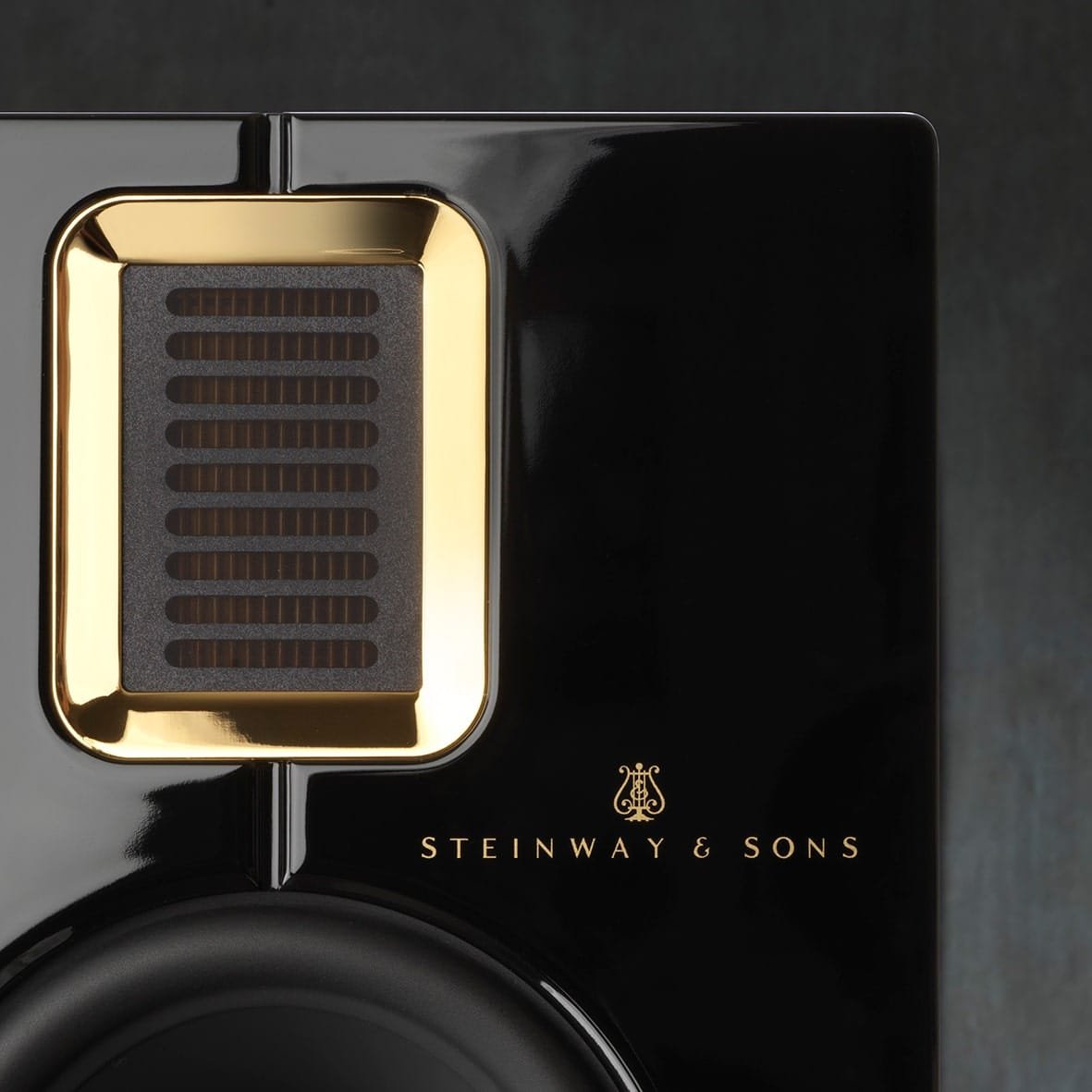 Steinway Lyngdorf Model S-15 Tweeter