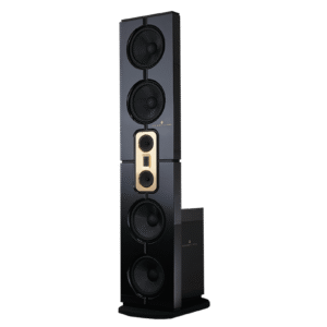 Steinway Lyngdorf Model D Floor Standing Speakers