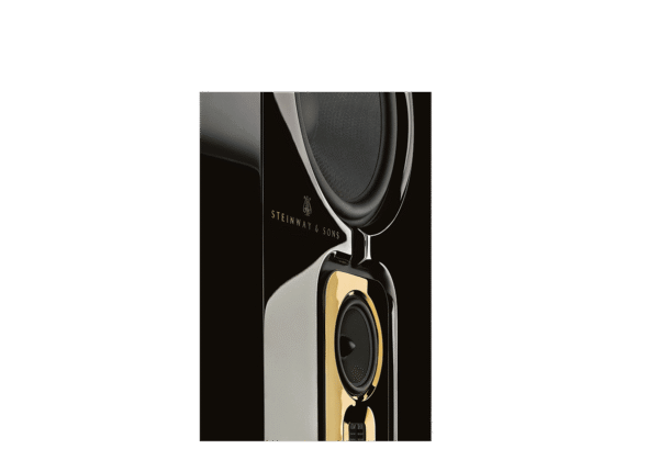 Steinway Lyngdorf Model D Floor Standing Speakers